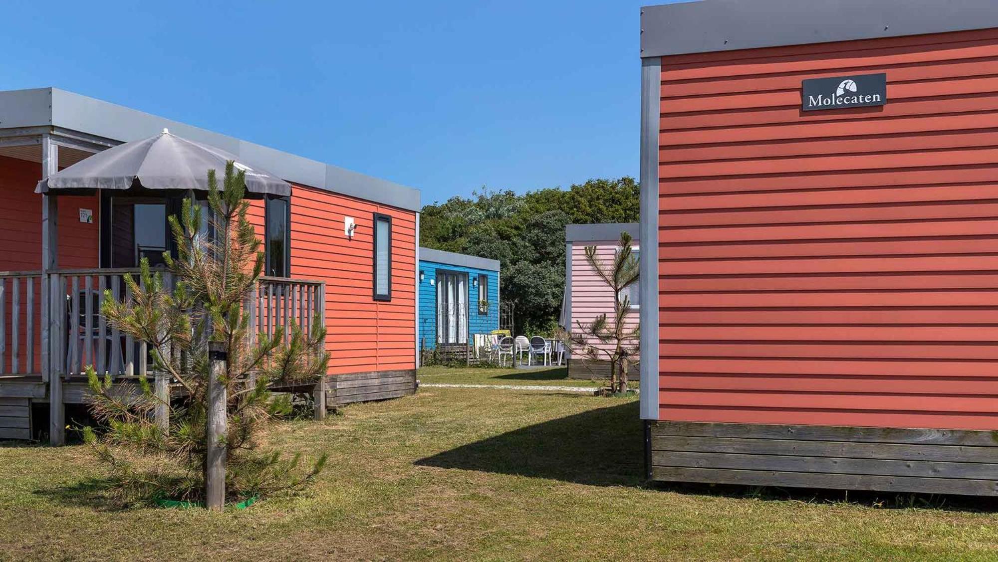 Molecaten Park Noordduinen Katwijk aan Zee Eksteriør billede